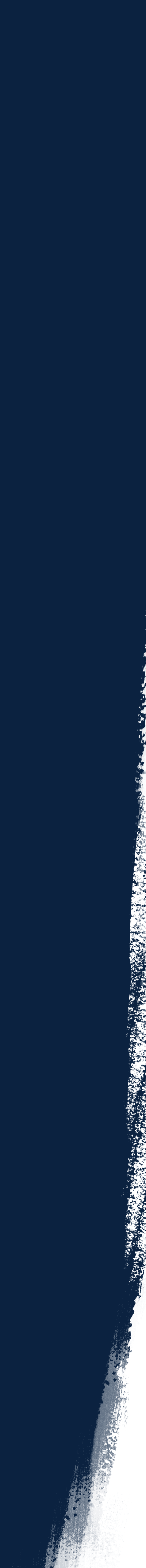 brush stroke pattern